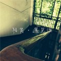 金孔雀培训