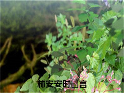 林安安时璟言（林安安时璟言）全文免费阅读_林安安时璟言最新章节列表_笔趣阁