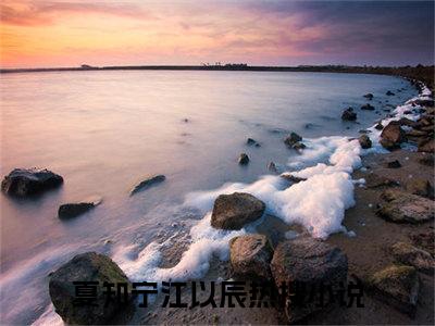 夏知宁江以辰（夏知宁江以辰）最新完结免费阅读-（夏知宁江以辰）悬疑小说在线阅读