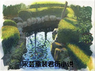 宋芸凰裴君衍在线阅读（宋芸凰裴君衍）全文免费阅读无弹窗大结局_宋芸凰裴君衍精选免费小说