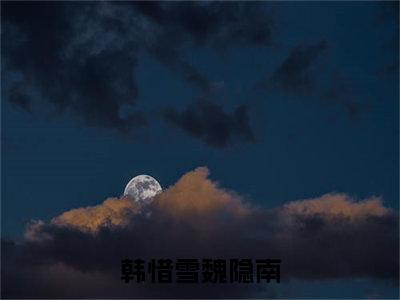 韩惜雪魏隐南（韩惜雪魏隐南）全文免费阅读无弹窗大结局_韩惜雪魏隐南小说韩惜雪魏隐南最新章节列表_笔趣阁(韩惜雪魏隐南）