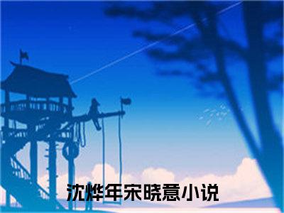 沈烨年宋晓意（沈烨年宋晓意小说）全文免费阅读无弹窗大结局_（沈烨年宋晓意）沈烨年宋晓意最新章节列表笔趣阁（沈烨年宋晓意）