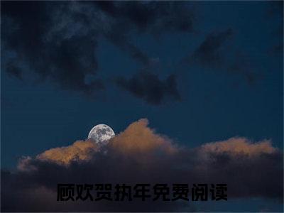 （顾欢贺执年）全文免费阅读无弹窗大结局_顾欢贺执年免费小说最新章节列表笔趣阁（顾欢贺执年）