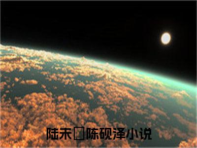 陆未晞陈砚泽小说大结局免费阅读（陆未晞陈砚泽）-完结版陆未晞陈砚泽小说推荐