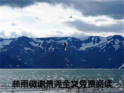 林雨微谢景尧（林雨微谢景尧）小说免费阅读抖音-林雨微谢景尧精选热门小说阅读