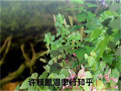 许枝意温聿行(许枝意温聿行)全文免费阅读无弹窗_(许枝意温聿行)许枝意温聿行最新章节列表笔趣阁（许枝意温聿行）