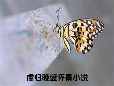 虞归晚盛怀景小说(虞归晚盛怀景)全文免费阅读无弹窗大结局 虞归晚盛怀景小说全文无删减版