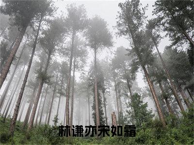 完整版小说（林谦亦宋如霜）最新在线阅读-林谦亦宋如霜小说（林谦亦宋如霜）免费阅读全文