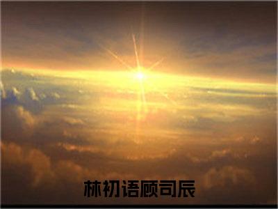 林初语顾司辰(林初语顾司辰)全文免费阅读无弹窗大结局_林初语顾司辰（林初语顾司辰全文）最新章节列表笔趣阁（林初语顾司辰）