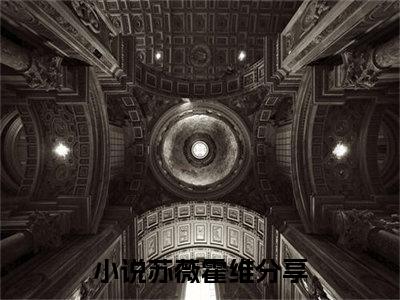 苏薇霍维（苏薇霍维）全文免费阅读无弹窗大结局_ (苏薇霍维小说免费阅读)最新章节列表_笔趣阁（苏薇霍维）