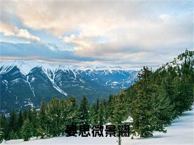 晏思微景澜无弹窗热文在线阅读-晏思微景澜小说在哪里可以看