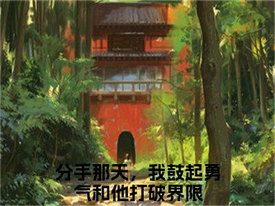 分手那天，我鼓起勇气和他打破界限（盛音顾恒之）全文免费阅读无弹窗大结局盛音顾恒之（分手那天，我鼓起勇气和他打破界限）