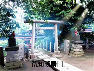 小说（沈知晚秦祤）免费阅读-小说（沈知晚秦祤）无弹窗大结局 沈知晚秦祤全文在线赏析最新章节列表_笔趣阁