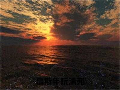 慕斯年阮清苑小说(慕斯年阮清苑)全文免费阅读无弹窗(小说全文免费阅读)慕斯年阮清苑最新章节列表_笔趣阁