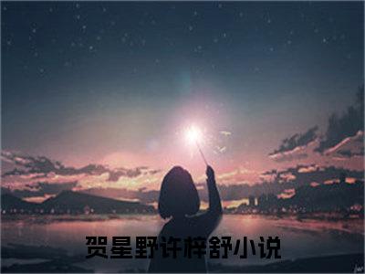 贺星野许梓舒-贺星野许梓舒新书热荐免费小说