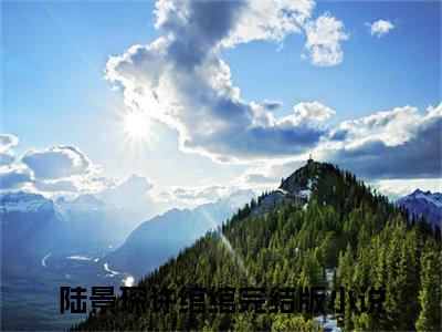 陆景琛许绾绾（陆景琛许绾绾）全文免费阅读无弹窗大结局_（陆景琛许绾绾）最新章节列表笔趣阁（陆景琛许绾绾）