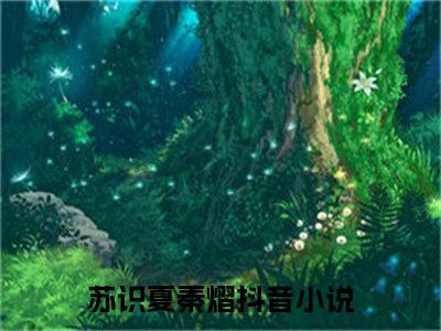 苏识夏秦熠（苏识夏秦熠）全文在线阅读无弹窗大结局_(苏识夏秦熠免费阅读全文大结局)最新章节列表_笔趣阁（苏识夏秦熠）