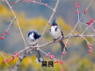 末世：我能催眠女丧尸为末世：我能催眠女丧尸的小说叫什么-最新小说吴良全文阅读