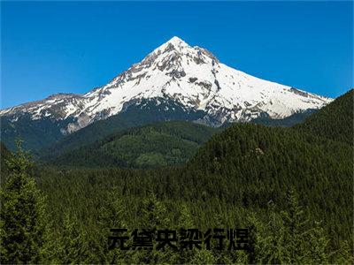 《元黛央梁行煜》全文免费阅读无弹窗大结局_元黛央梁行煜无弹窗全文阅读