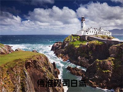 傅淮砚司白鸢（傅淮砚司白鸢）全文免费阅读无弹窗大结局_傅淮砚司白鸢小说免费最新章节列表_笔趣阁