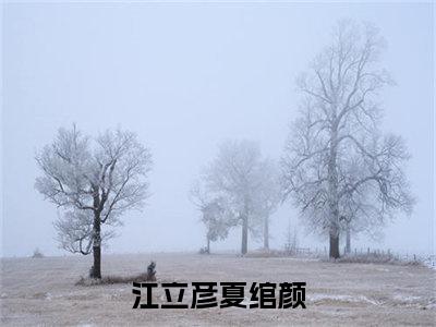 江立彦夏绾颜（江立彦夏绾颜）全文免费阅读无弹窗大结局_(江立彦夏绾颜)最新章节列表_笔趣阁