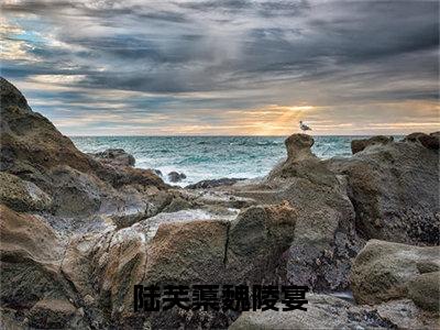 陆芙蕖魏陵宴小说免费阅读（陆芙蕖魏陵宴）全文免费阅读无弹窗大结局_陆芙蕖魏陵宴小说免费阅读最新章节列表_笔趣阁（陆芙蕖魏陵宴）