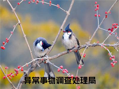 （异常事物调查处理局）全文免费阅读无弹窗大结局 时律唐容免费阅读最新章节精彩免费阅读_笔趣阁