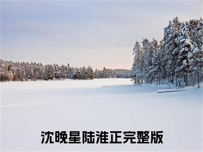 沈晚星陆淮正最新章节在线阅读-沈晚星陆淮正全文小说