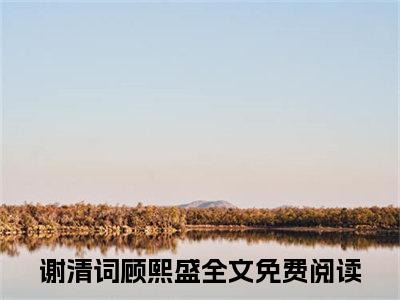 谢清词顾熙盛阅读无弹窗大结局_（谢清词顾熙盛阅读无弹窗）最新章节列表_笔趣阁（谢清词顾熙盛）