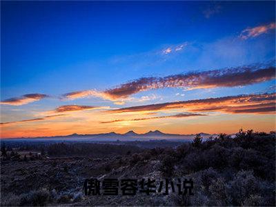 傲雪容华良心推荐小说 傲雪容华全文完整版免费阅读