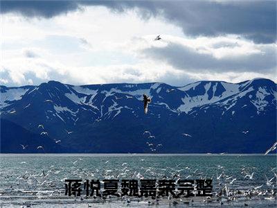 蒋悦夏魏嘉荣历史小说，蒋悦夏魏嘉荣全文免费阅读无弹窗