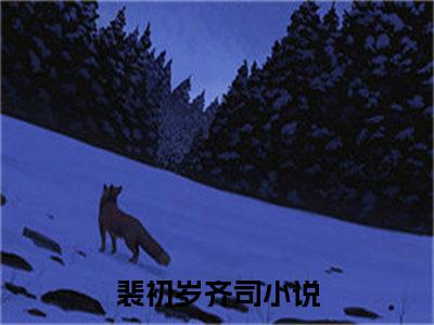 裴初岁齐司热门小说全文免费阅读无弹窗大结局-裴初岁齐司免费阅读大结局