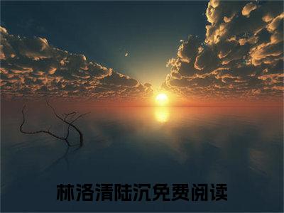 林洛清陆沉（林洛清陆沉）全文免费阅读无弹窗大结局_（林洛清陆沉）林洛清陆沉最新章节列表_笔趣阁