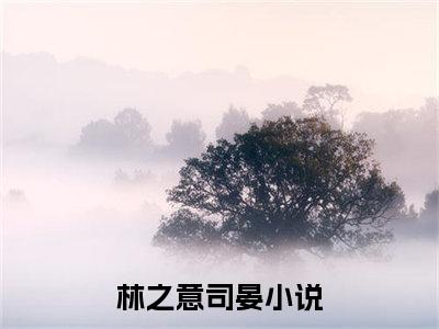 少帅，我们之间不熟小说（林之意司晏）全文免费阅读-少帅，我们之间不熟精彩章节在线阅读