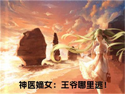 箬雨南宫甫（神医嫡女：王爷哪里逃！）全文免费阅读无弹窗大结局_箬雨南宫甫_笔趣阁