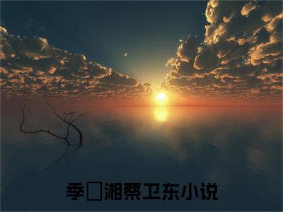 季珺湘蔡卫东小说全文免费阅读 季珺湘蔡卫东最新章节