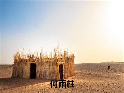 何雨柱（四合院之开局何大清要跑）全文免费阅读_(四合院之开局何大清要跑)何雨柱最新章节列表_笔趣阁