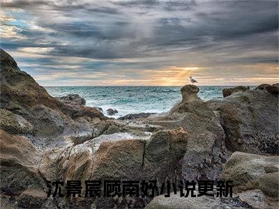 沈景宸顾南妤小说（沈景宸顾南妤）全文免费阅读无弹窗大结局_沈景宸顾南妤小说免费阅读_笔趣阁