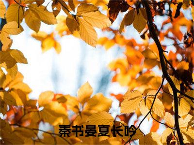 秦书晏夏长吟无广告小说正版在线阅读,秦书晏夏长吟全文在线阅读大结局