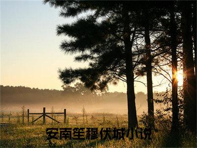 安南笙穆伏城（安南笙穆伏城）抖音热推小说全集无删减_（安南笙穆伏城免费阅读）最新章节列表