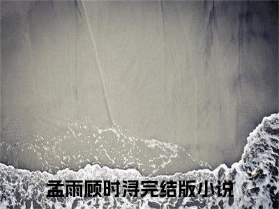 孟雨顾时浔免费阅读无弹窗大结局-孟雨顾时浔最新全章节全文阅读免费阅读-笔趣阁