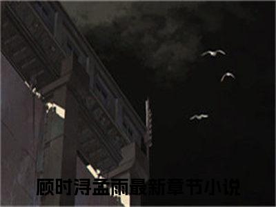 顾时浔孟雨(顾时浔孟雨)全文在线阅读无弹窗大结局_顾时浔孟雨全文无弹窗最新章节列表_笔趣阁