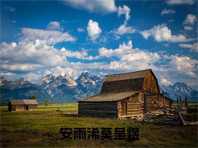 美文安雨浠莫呈煜大结局小说-小说（安雨浠莫呈煜）免费分享