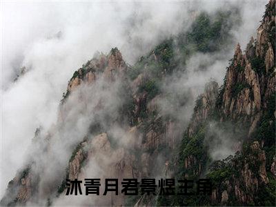 沐青月君景煜（沐青月君景煜）全文免费阅读无弹窗_沐青月君景煜小说最新章节列表无删减_笔趣阁