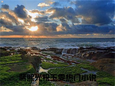 蒋熙光祝玉雯已完结全集大结局小说-热门小说（蒋熙光祝玉雯）最新章节阅读