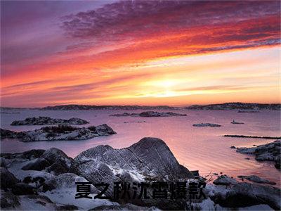 夏之秋沈霄小说免费大结局全集免费阅读 夏之秋沈霄章节目录