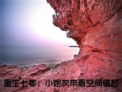 陈青怡楚寻在线阅读（重生七零：小炮灰带着空间雄起）全文免费阅读无弹窗大结局_重生七零：小炮灰带着空间雄起免费最新章节列表_笔趣阁