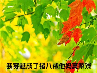 我穿越成了猪八戒他妈夏梨浅小说全文免费阅读无弹窗-我穿越成了猪八戒他妈夏梨浅小说在线免费阅读大结局