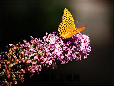 沈霆州苏晚芙(沈霆州苏晚芙)最新章节在线阅读-沈霆州苏晚芙已完结全集大结局小说