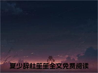 夏少辞杜笙笙（夏少辞杜笙笙）全文免费阅读无弹窗_夏少辞杜笙笙最新小说_笔趣阁（夏少辞杜笙笙）